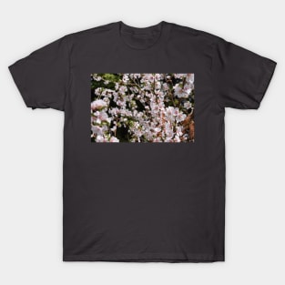 Tiny White and Pink Blossoms in Photography T-Shirt